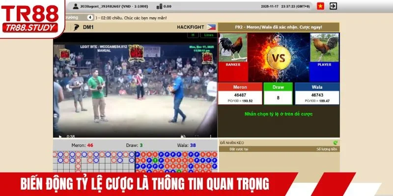 Biến động tỷ lệ cược là thông tin cực kỳ quan trọng