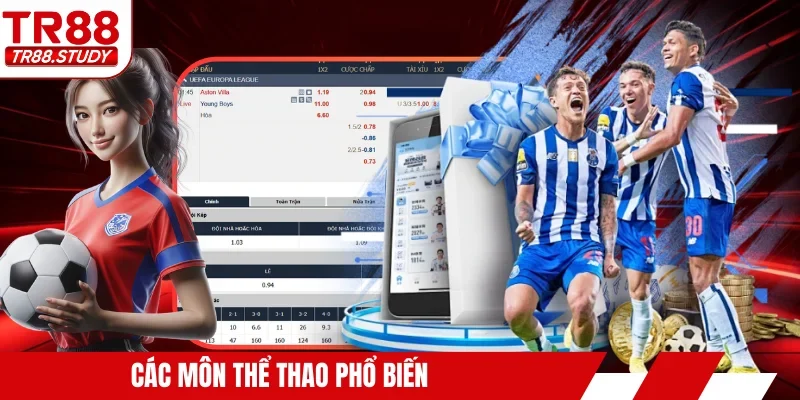 Các môn thể thao phổ biến