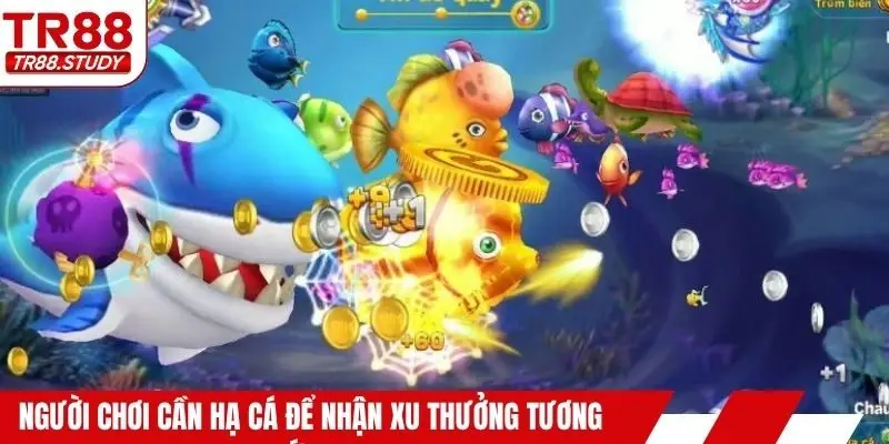 Người chơi cần hạ cá để nhận xu thưởng tương ứng