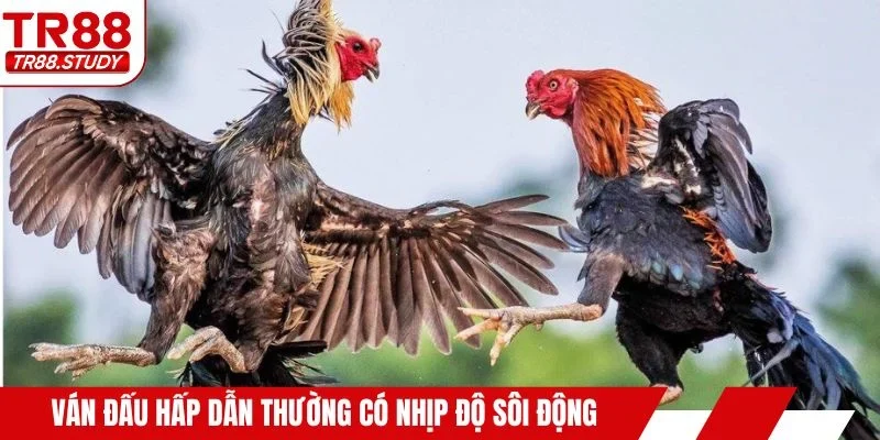 Ván đấu hấp dẫn thường có nhịp độ sôi động